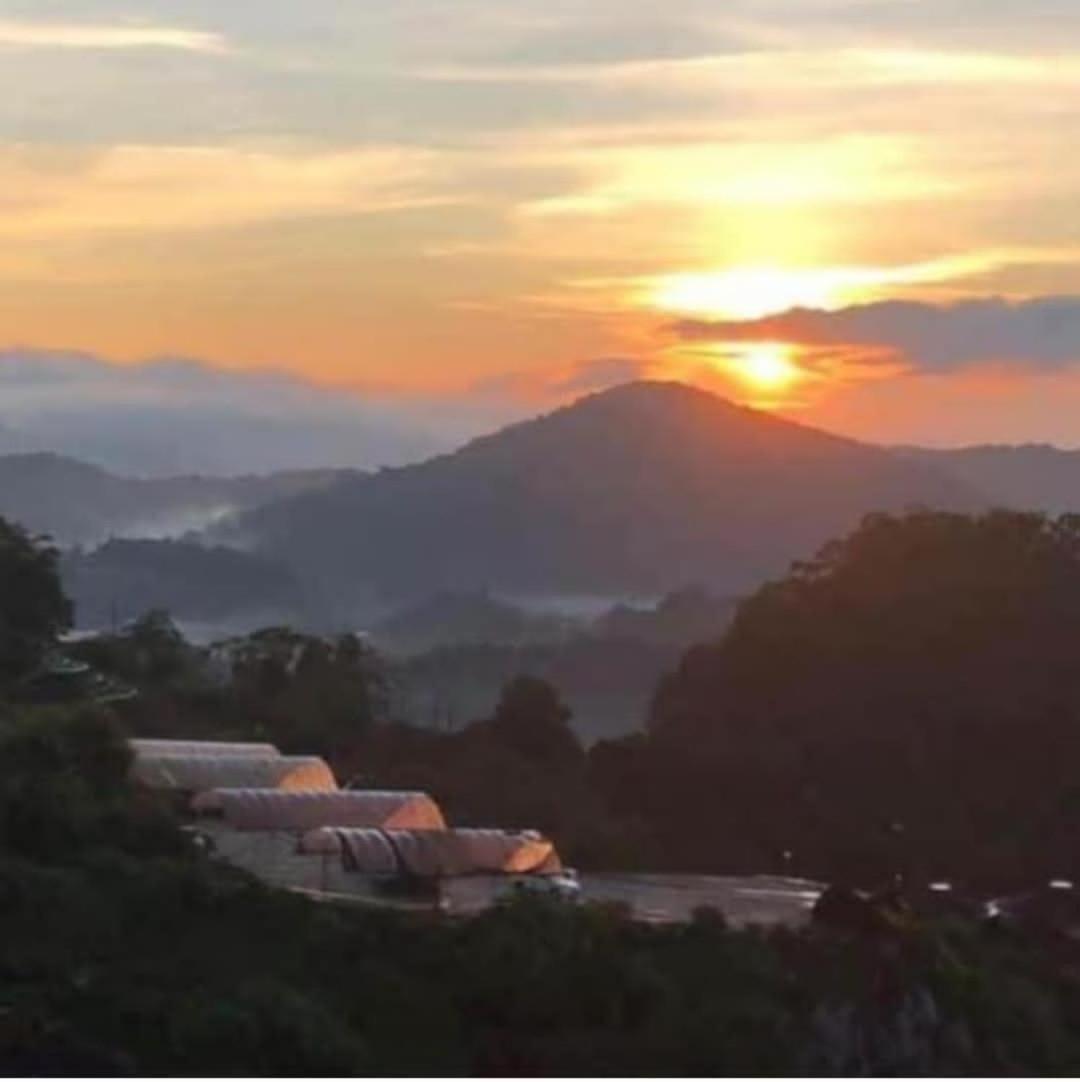 Kensington Sunrise At Sg Palas,Palashorizon Tanah Rata Kültér fotó
